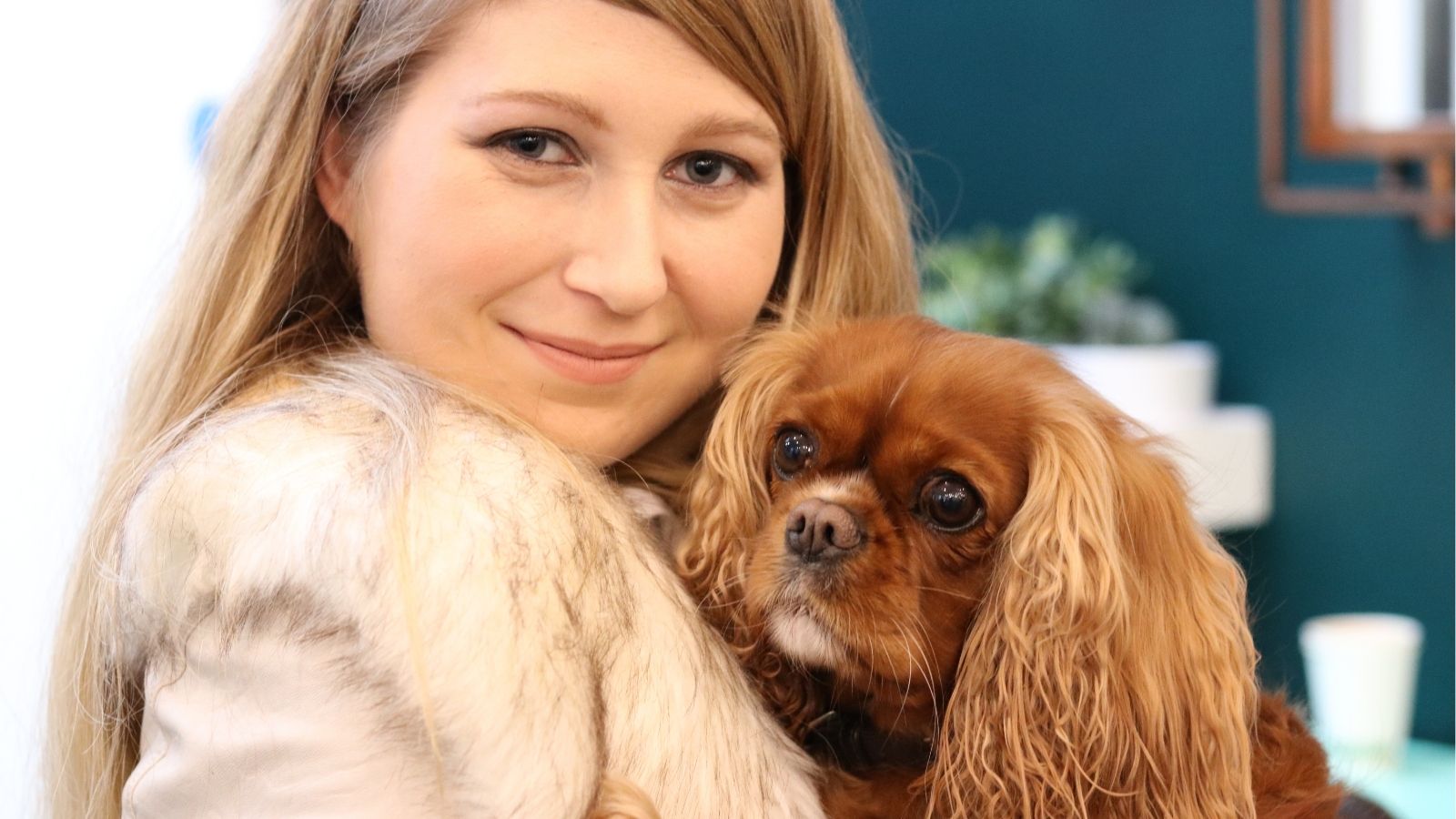 Kennels or Private In-Home Dog Care in Suffolk: What’s the Difference?